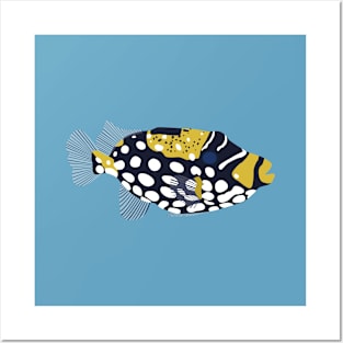 Clown trigger fish illustration Posters and Art